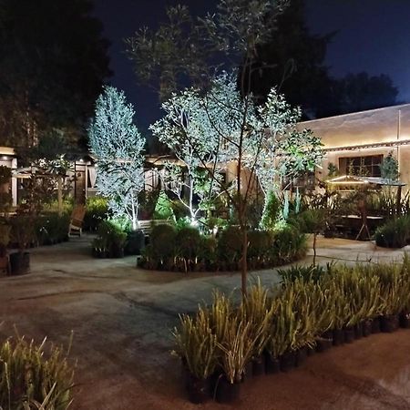 Utopia Hotel Boutique 墨西哥城 外观 照片