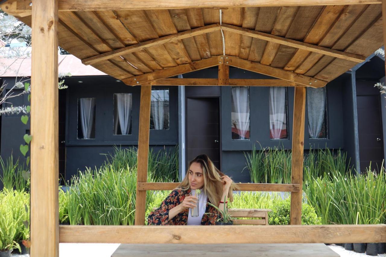 Utopia Hotel Boutique 墨西哥城 外观 照片