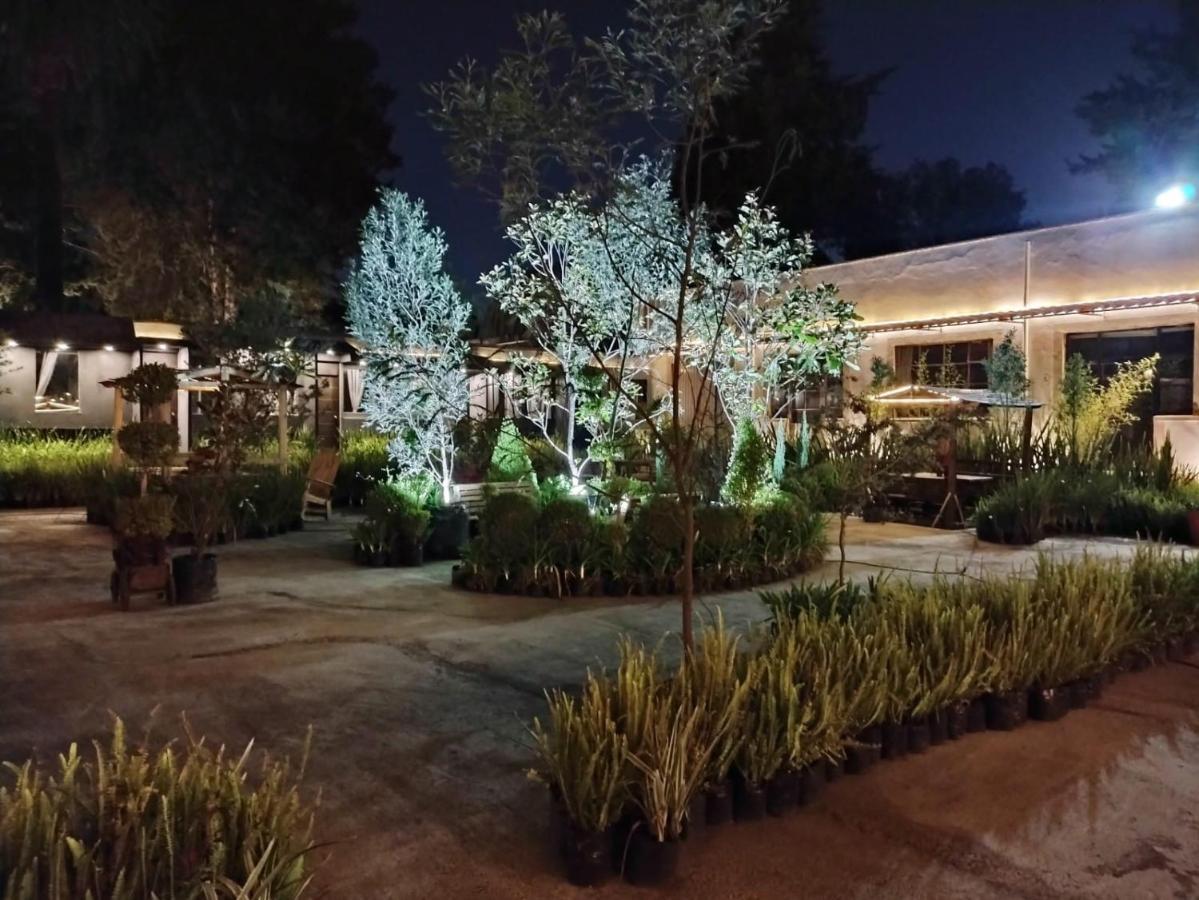 Utopia Hotel Boutique 墨西哥城 外观 照片